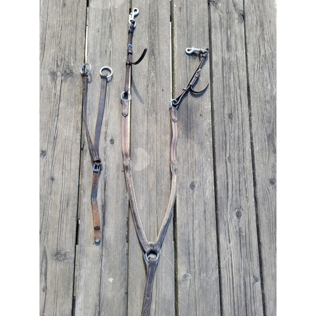 Collier de chasse + martingale