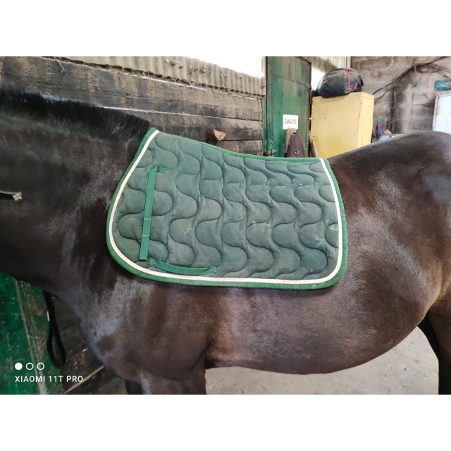 Tapis vert