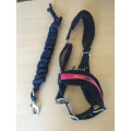 Licol double poney avec longe