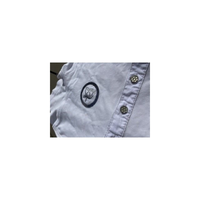 Polo Pikeur