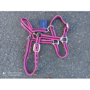 licol lami cell cob neuf