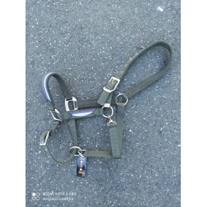 licol cheval t de t neuf