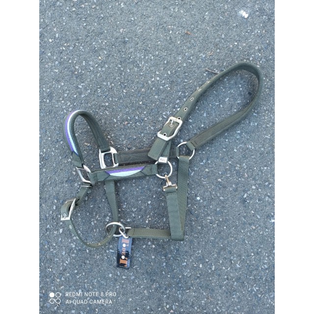 licol cheval t de t neuf