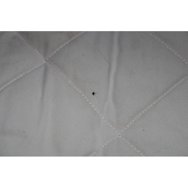 Tapis