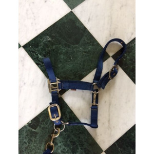 Licol bleu roi - Taille Poney