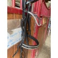 Filet noir à strass cheval