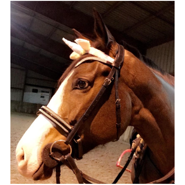 Filet noir à strass cheval