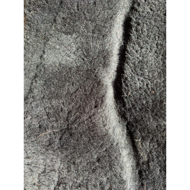 Amortisseur mouton noir