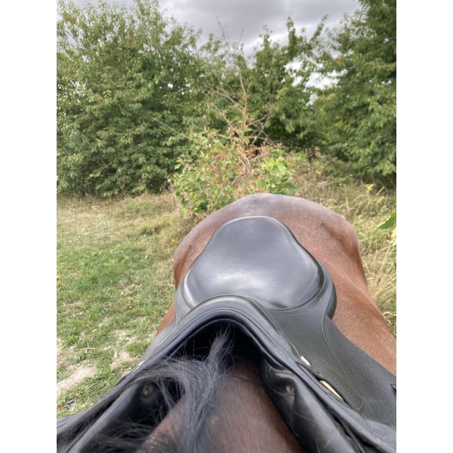 Selle noire 17p