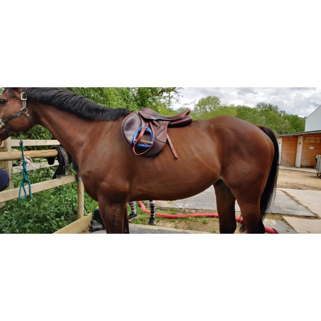 Selle Antares 17.5 de 2020