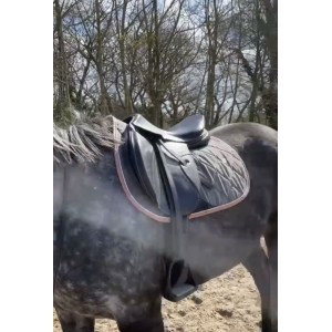 Tapis GEM gris avec les bordures roses