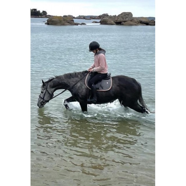 Tapis GEM gris avec les bordures roses