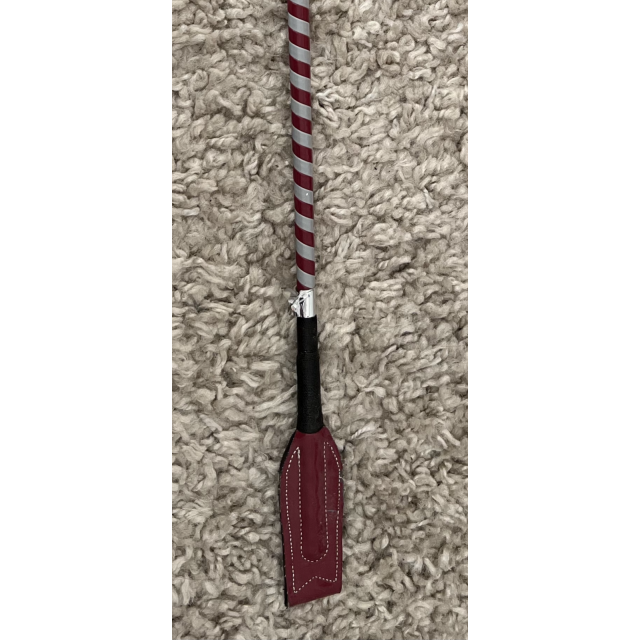 Cravache Whip & go concours