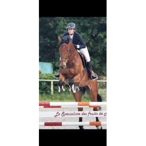 Veste de concours DADA SPORT noir M