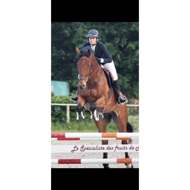 Veste de concours DADA SPORT noir M