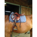 Selle Prestige 16 pouces