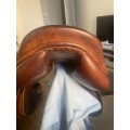 Selle Forestier 17,5"