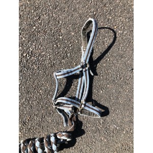 Licol cheval fouganza