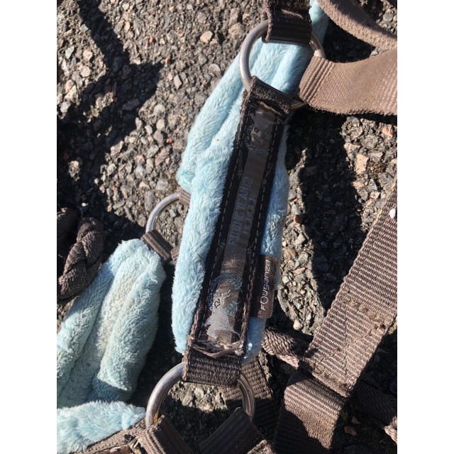 Licol mouton fouganza