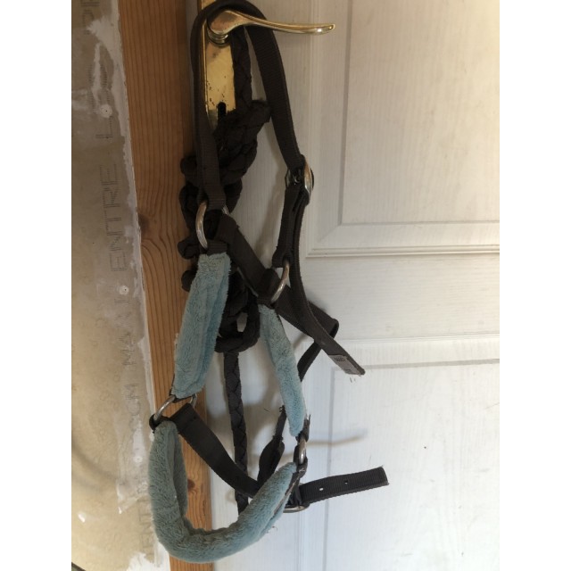 Licol mouton fouganza