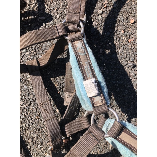 Licol mouton fouganza