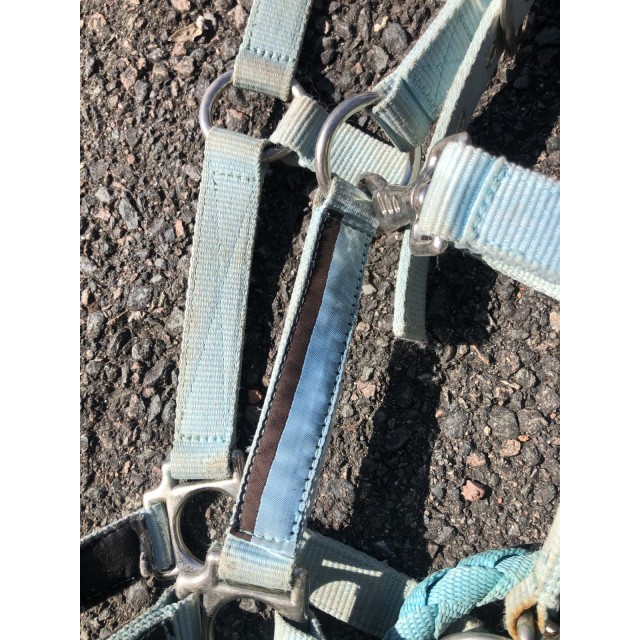 Licol cheval fouganza