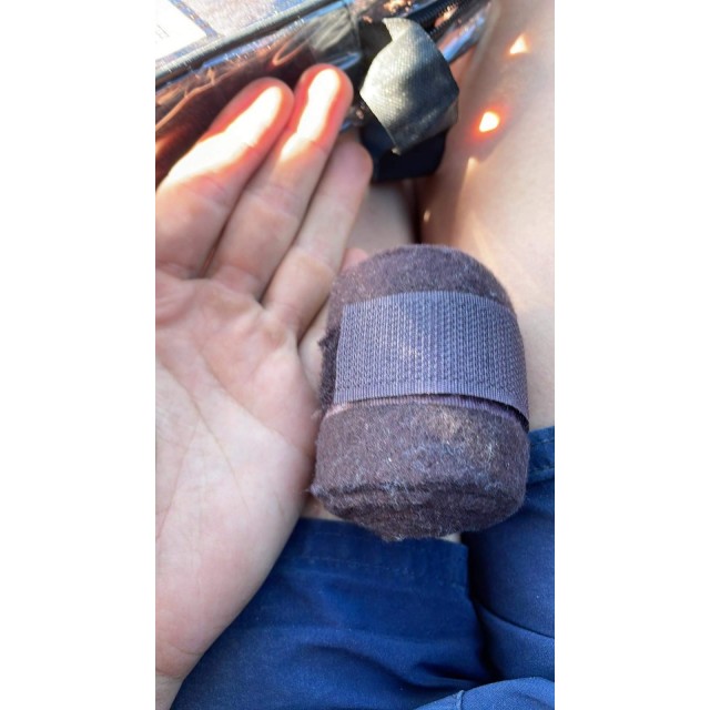 bande de Polo Mini-Shetland