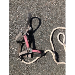 Licol cheval fouganza