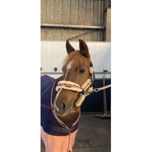 Licol Pénélope Leprevot