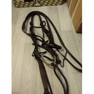 Filet Hervé godignon