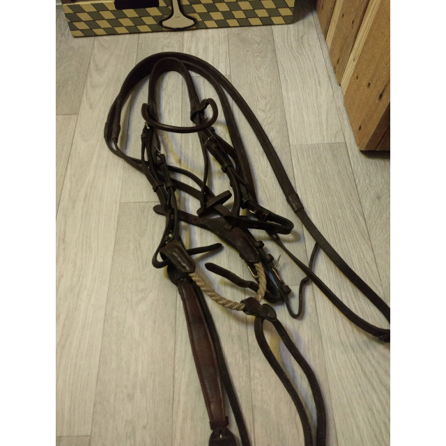 Filet Hervé godignon