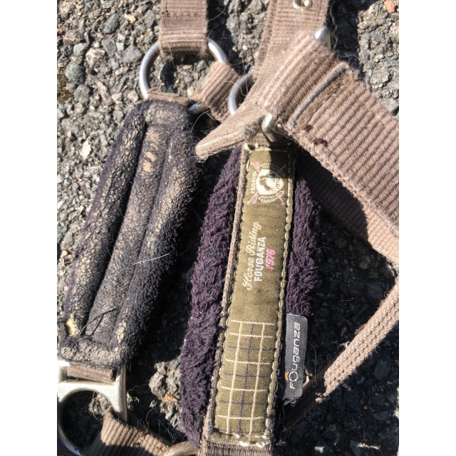 Licol cheval fouganza