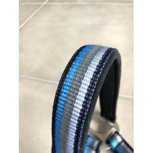 Licol NORTON Bleu roi