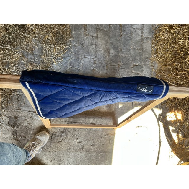Tapis dyon
