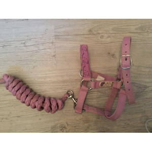 Licol Fouganza pour poney