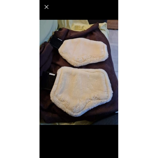 Guêtres de dressage