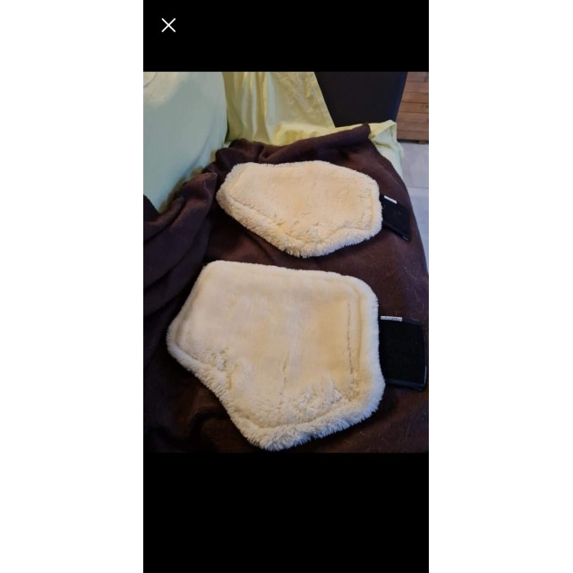 Guêtres de dressage