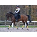 Tapis Eskadron