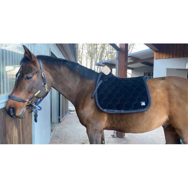 Tapis Eskadron