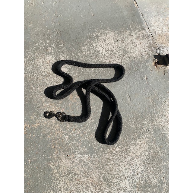 longe noir pour licol