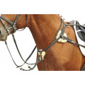 Collier de chasse 5 points
