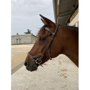 FILET MICKLEM COMPÉTITION - RAMBO