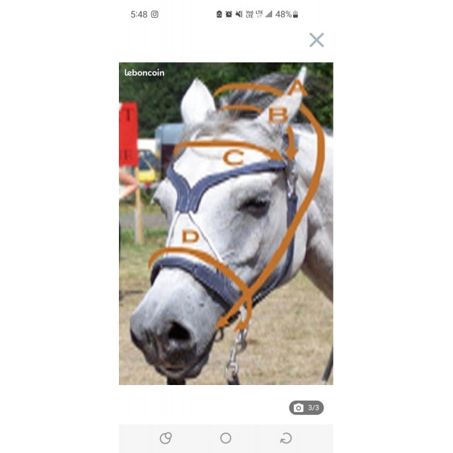 Likorne