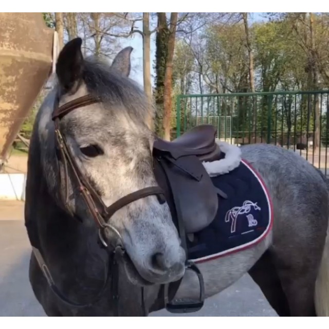 Amortisseur mouton