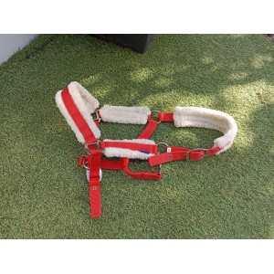 licol rouge doublé mouton