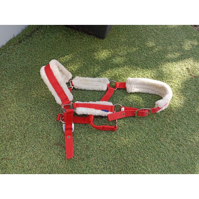 licol rouge doublé mouton