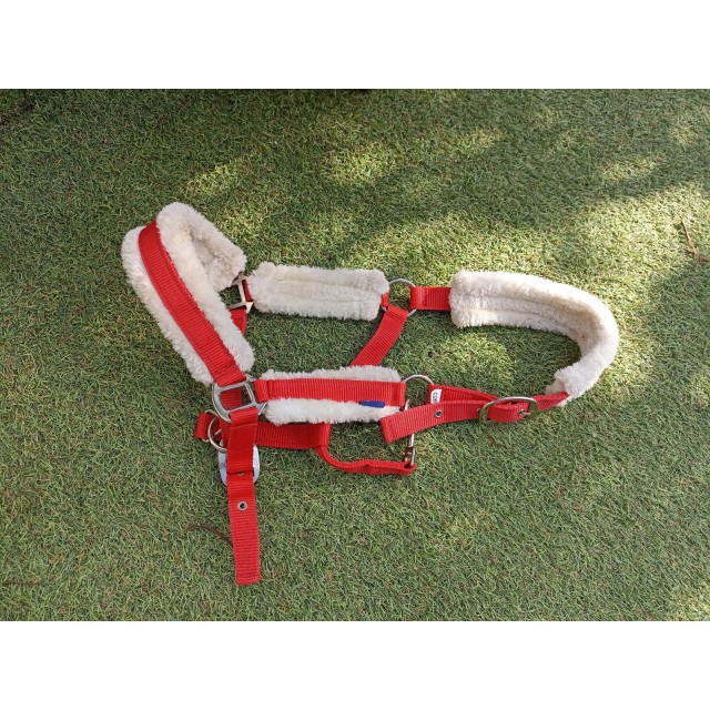 licol rouge doublé mouton