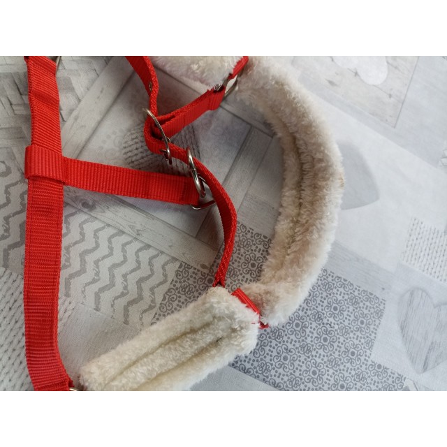 licol rouge doublé mouton