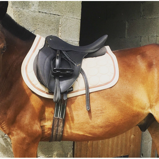 Selle Wintec Mixte 17 