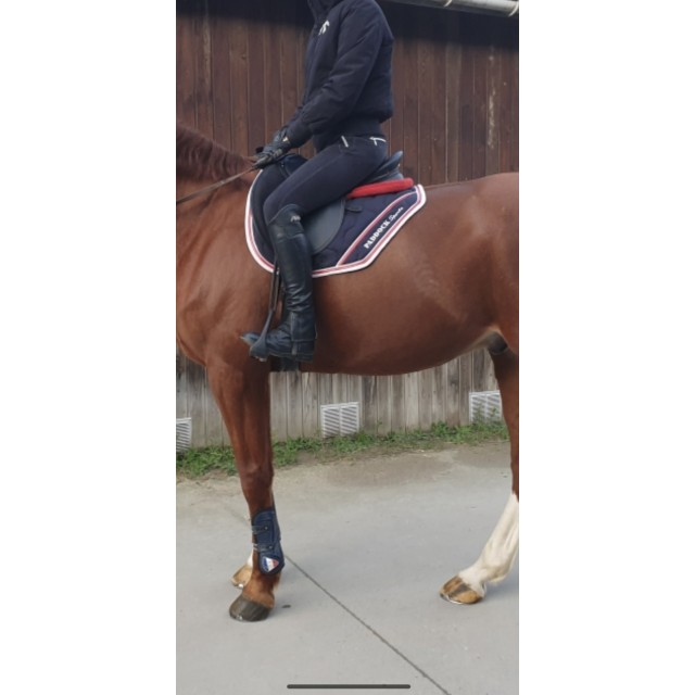 tapis paddock sport coupé sport